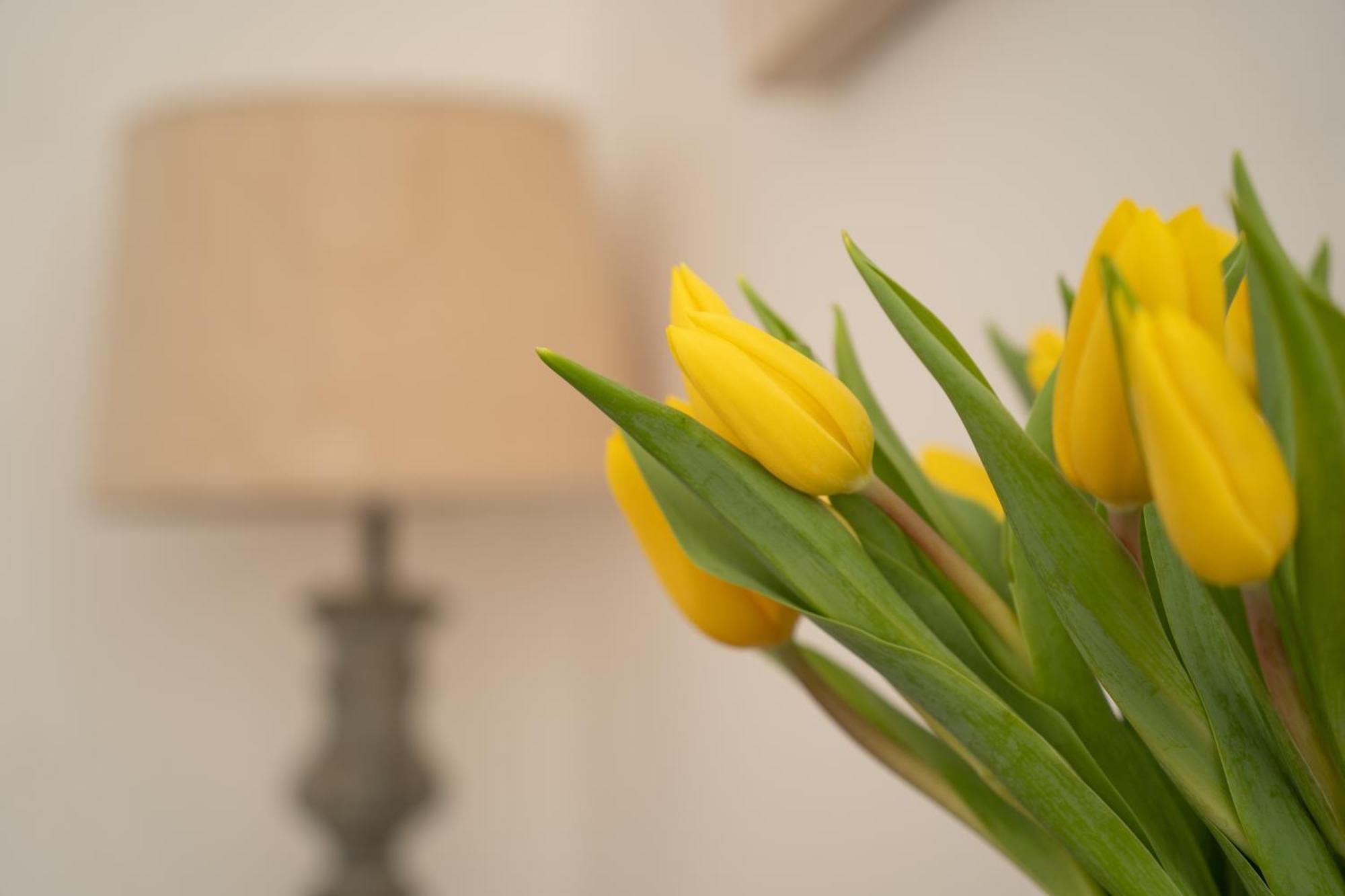 Bed and Breakfast Mocha Newcastle Голуэй Экстерьер фото